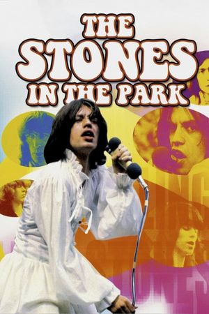 The Stones in the Park's poster