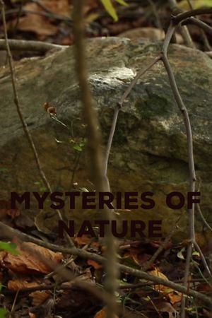 Mysteries of Nature's poster