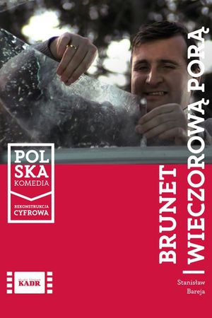 Brunet wieczorowa pora's poster