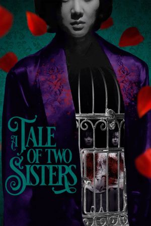 A Tale of Two Sisters's poster