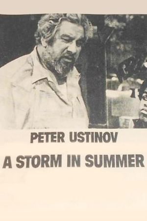 A Storm in Summer's poster