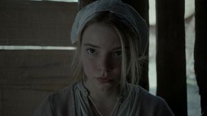 The Witch's poster