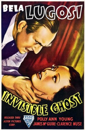 Invisible Ghost's poster
