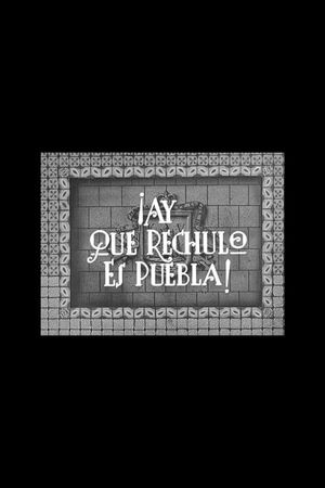 ¡Ay qué rechula es Puebla!'s poster