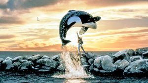 Free Willy's poster