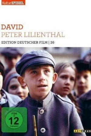 David's poster