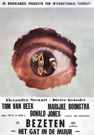 Obsessions's poster