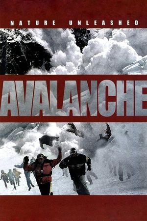 Nature Unleashed:  Avalanche's poster