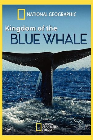 Kingdom of the Blue Whale's poster