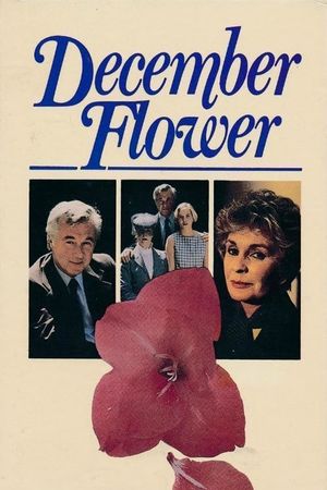 December Flower's poster