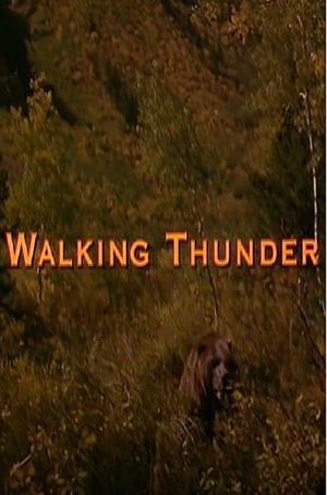 Walking Thunder's poster