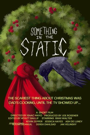 Something in the Static's poster image