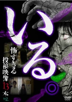 「Iru.」~ Kowasugiru Tōkō Eizō 13-hon ~ Vol.2's poster