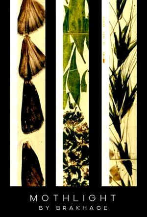 Mothlight's poster