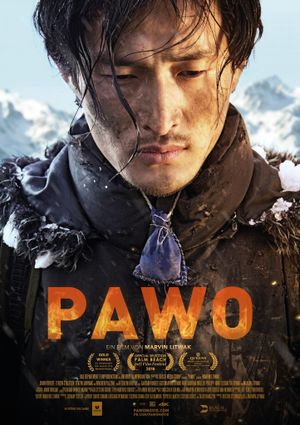 Pawo's poster