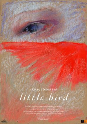 Little Bird's poster