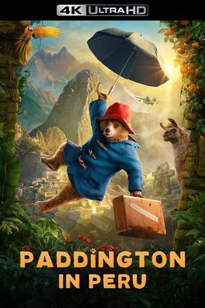 Paddington in Peru's poster