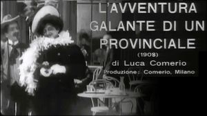 The Gallant Adventure of a Provincial's poster