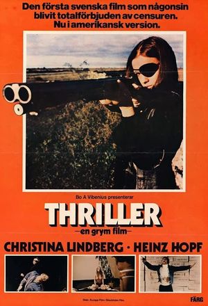 Thriller: A Cruel Picture's poster