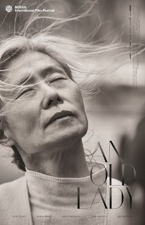 An Old Lady's poster