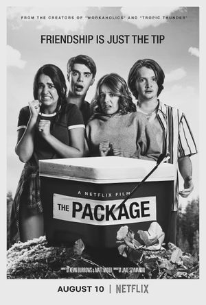 The Package's poster
