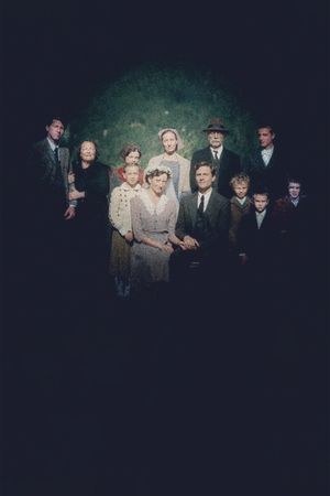Vermiglio's poster