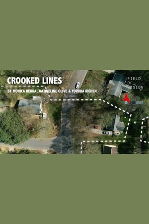 Crooked Lines's poster