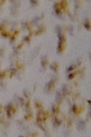 Pouring Grain's poster