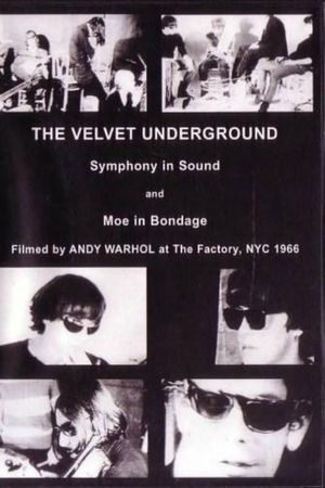 The Velvet Underground and Nico's poster
