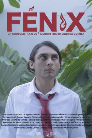 FENIX's poster