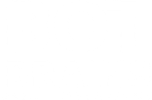 Bot Brains: Great Inventions's poster