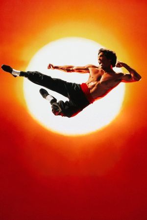 Dragon: The Bruce Lee Story's poster