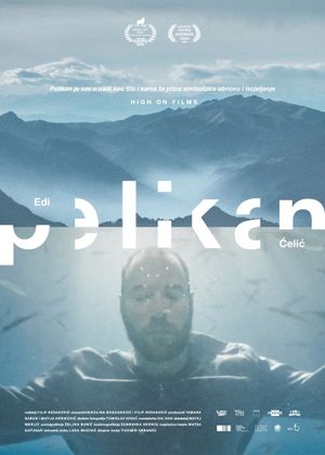 Pelican's poster