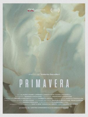 Primavera's poster