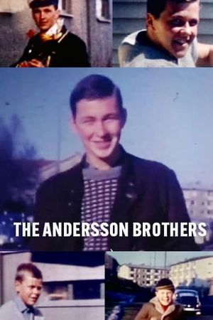 The Andersson Brothers's poster