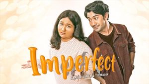 Imperfect's poster