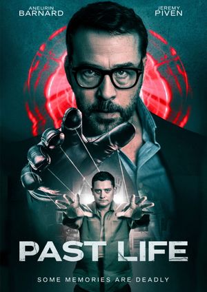 Past Life's poster image