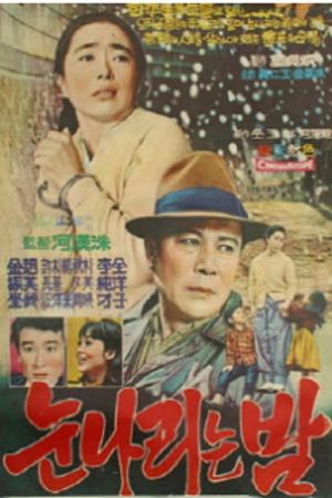 눈 나리는 밤's poster