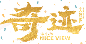 Nice View's poster