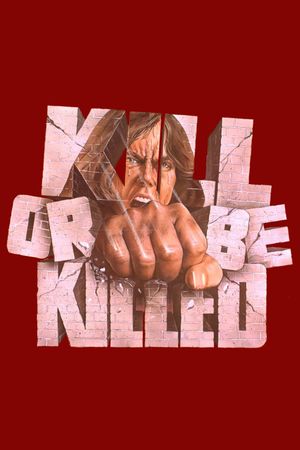 Karate Killer's poster