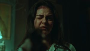 The Woman and the Gun's poster