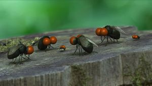 Minuscule: Valley of the Lost Ants's poster