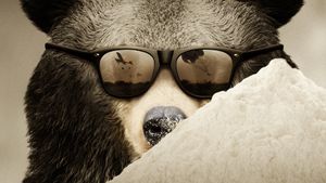 Cocaine Bear: The True Story's poster