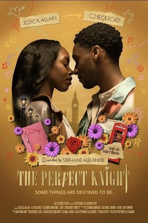The Perfect Knight's poster