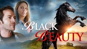 Black Beauty's poster