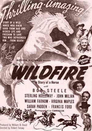 Wildfire's poster