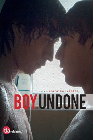 Boy Undone's poster