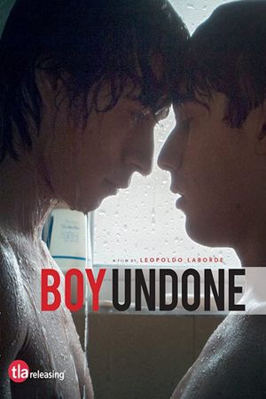 Boy Undone's poster image