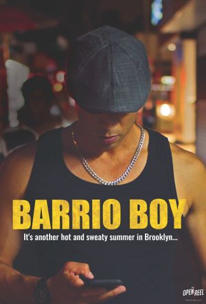 Barrio Boy's poster