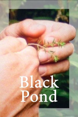 Black Pond's poster image